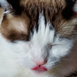 Meet your Posher, Tami